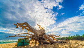 Step into the serene beauty of Thuan An Beach